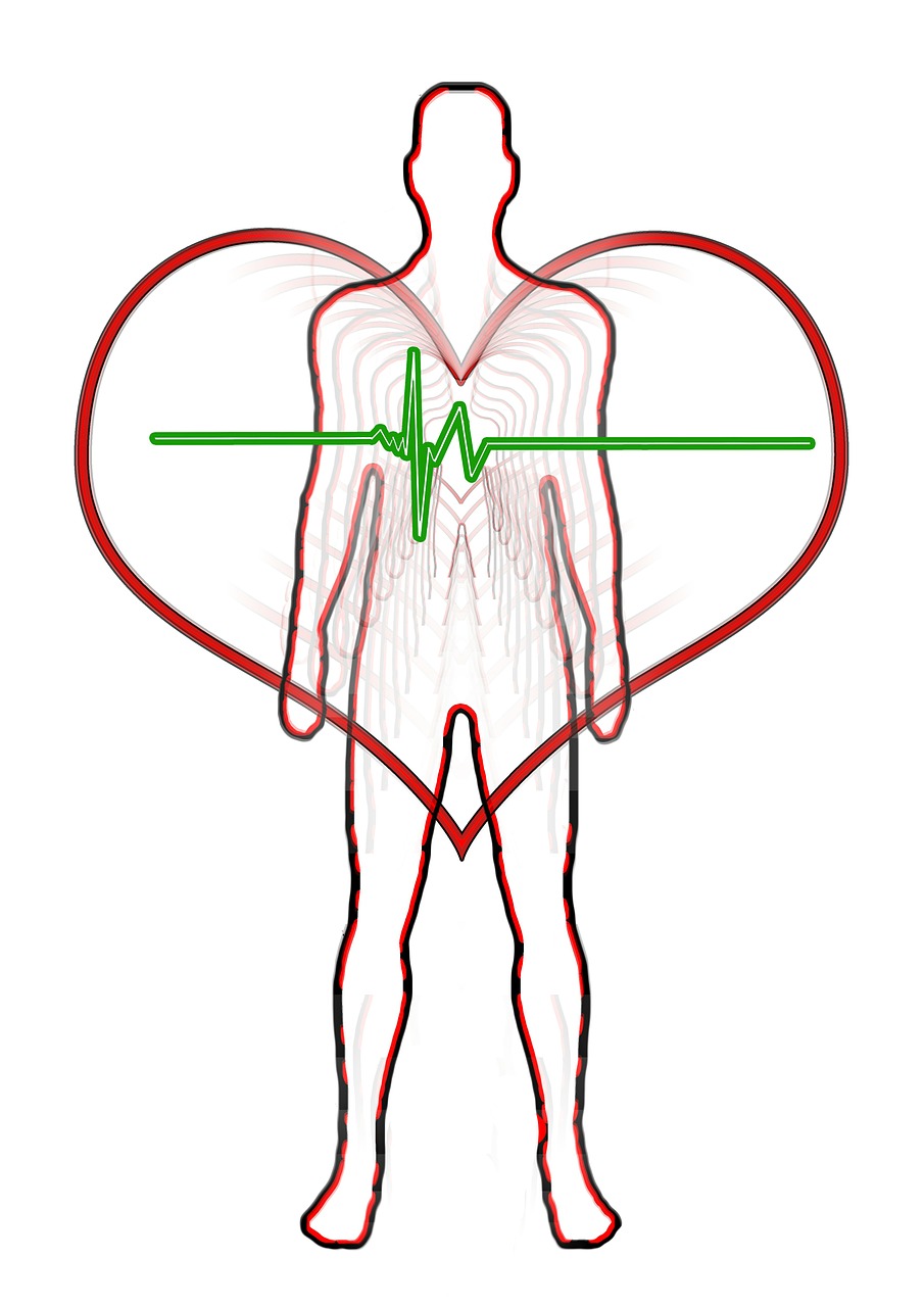 Understanding the Endothelial Glycocalyx: Why It's Vital for Longevity and How to Protect It